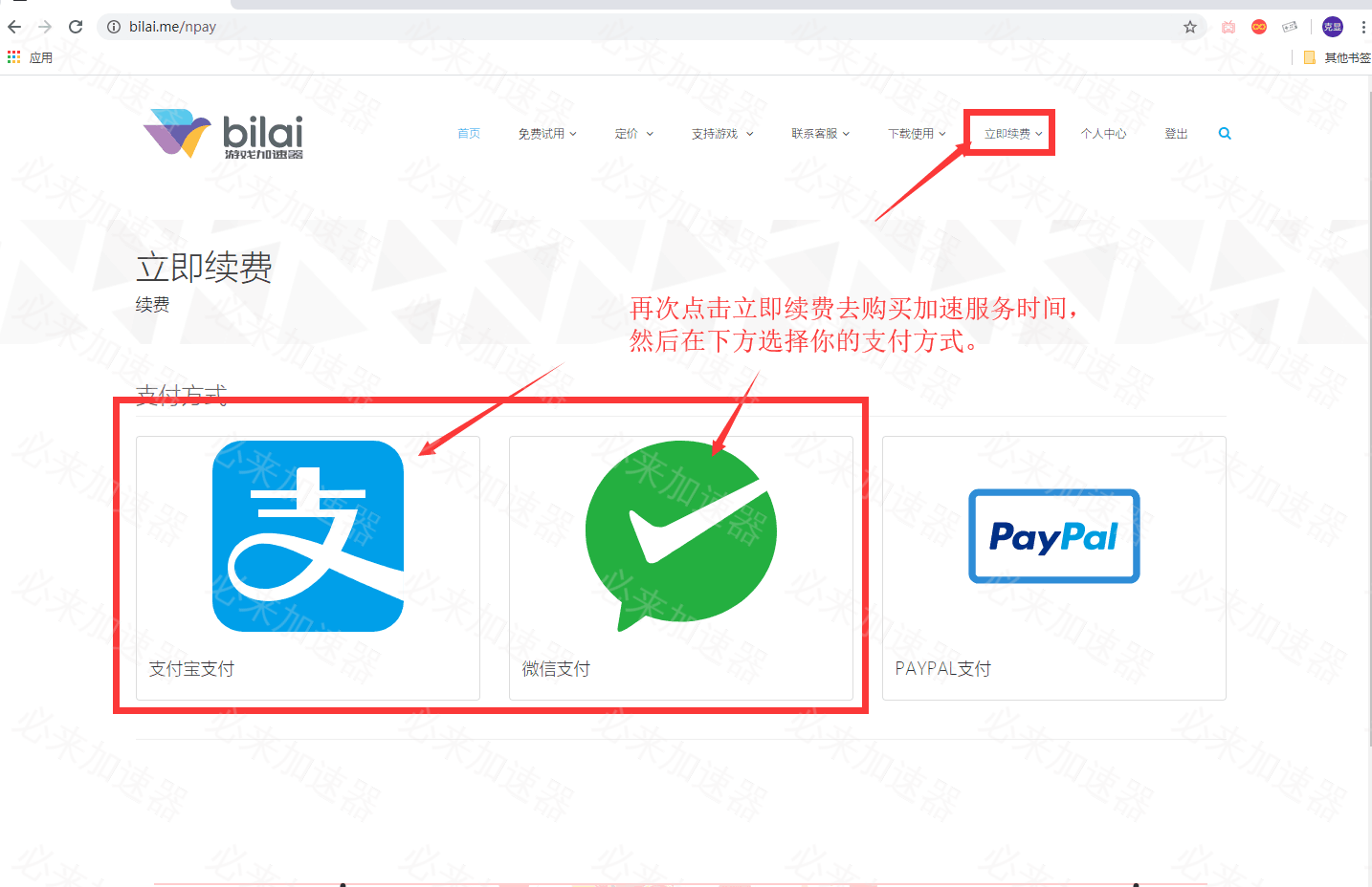 登录完成,点击右上角的立即续费,选择支付方式购买想要的游戏节da点